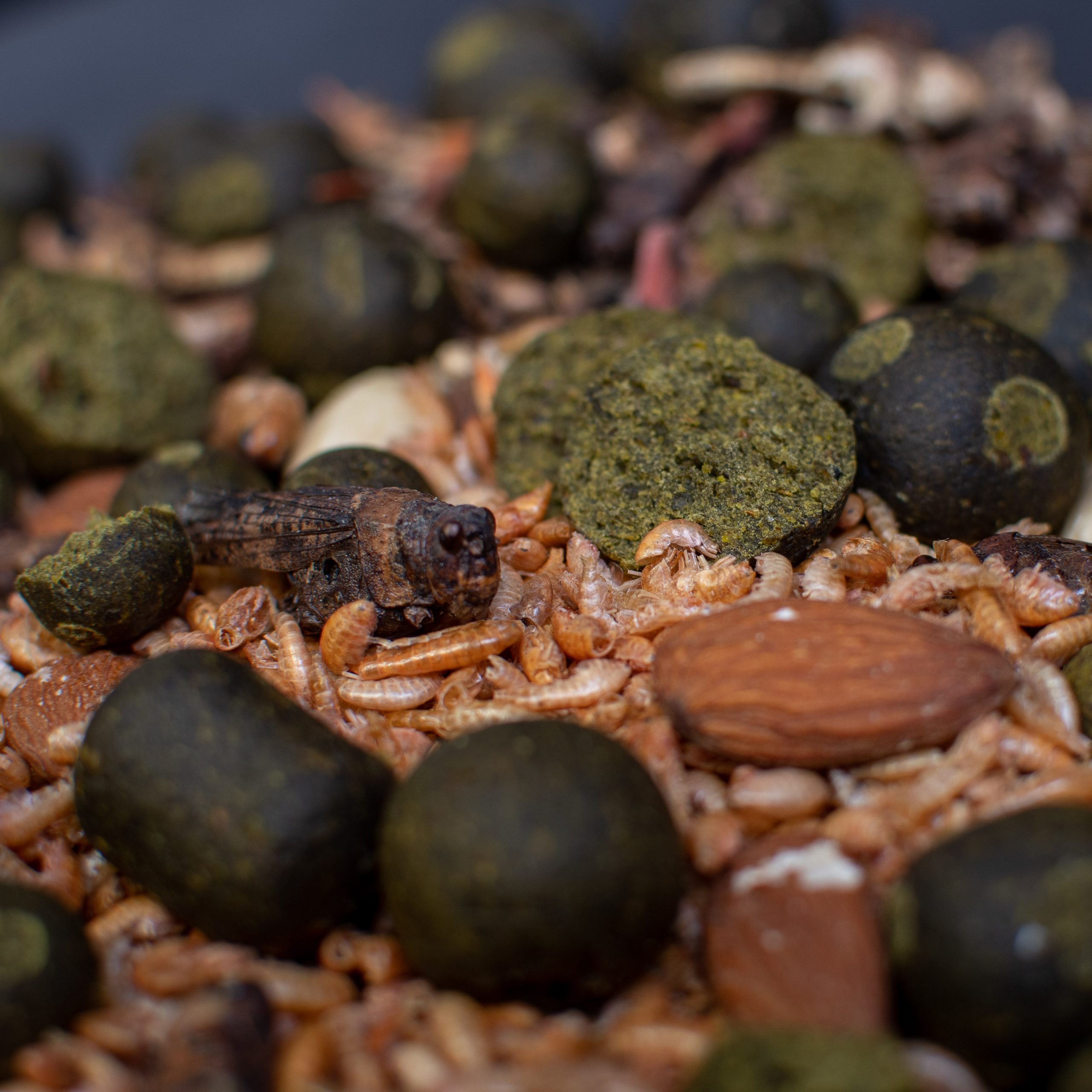 Ready Made | Green Fly - Afbeelding 3