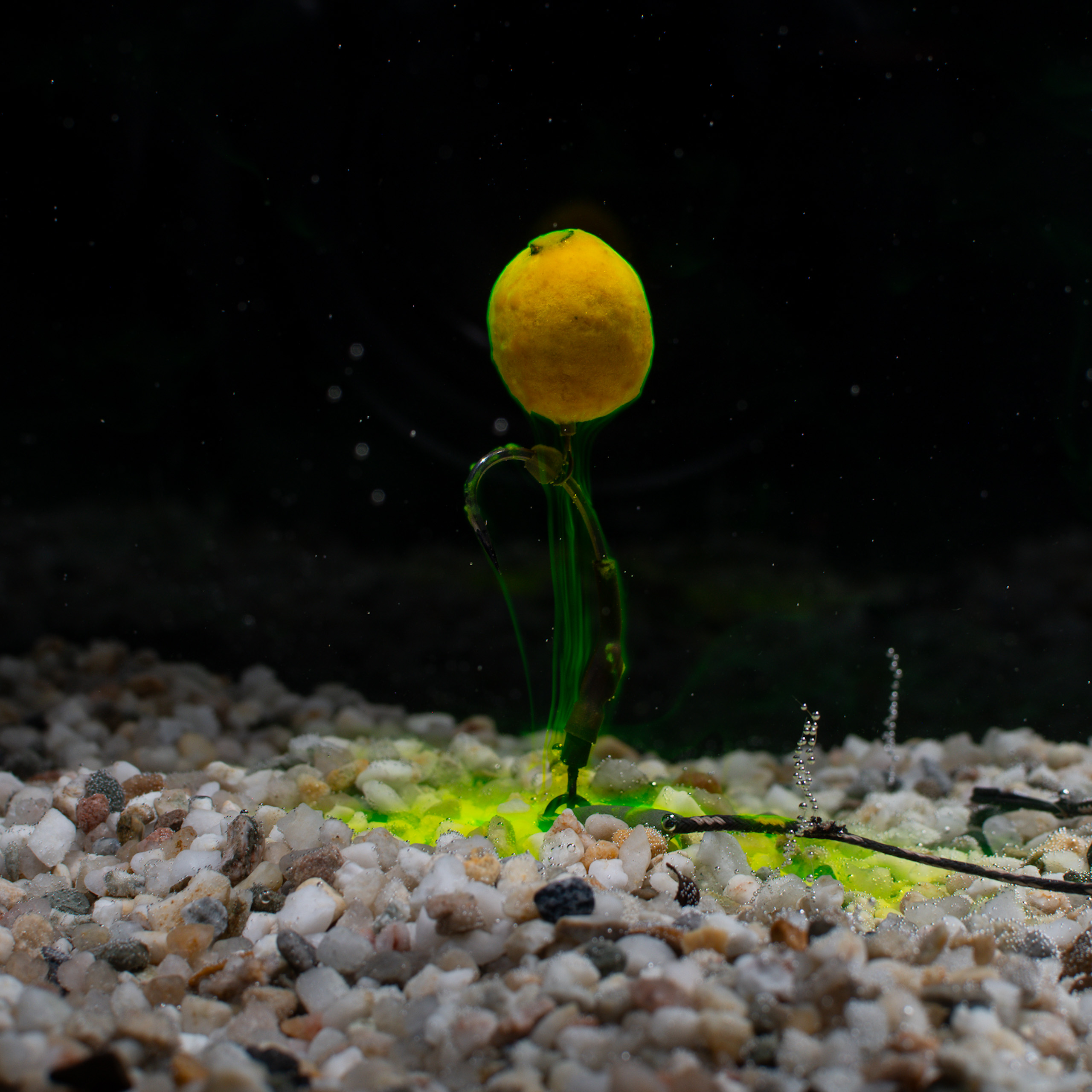 Bait-Smoke | Pacific Krill - Afbeelding 2