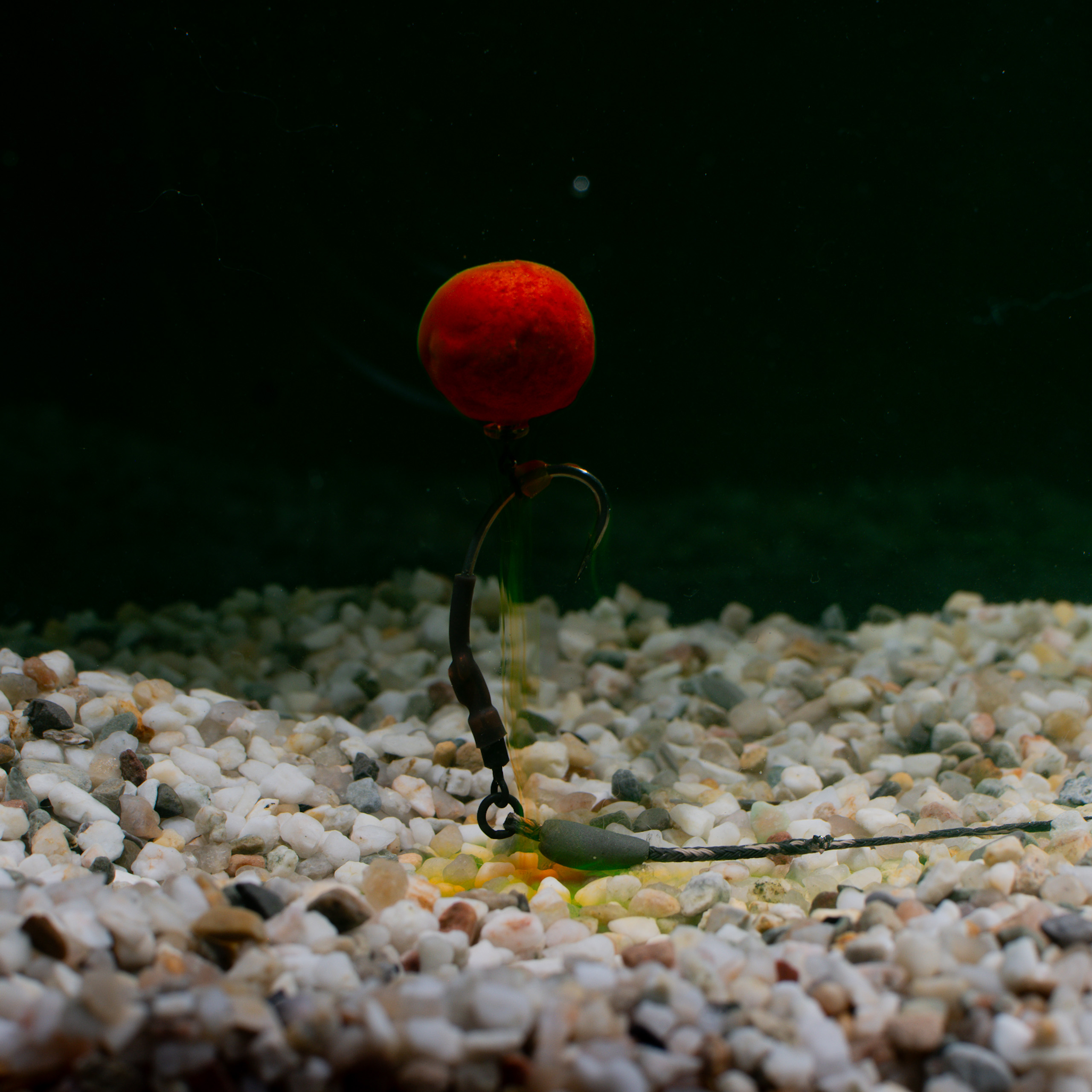 Bait-Smoke | Shell-D-Liver - Afbeelding 2